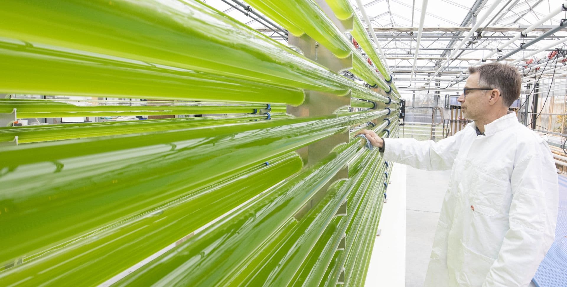 Ontdek AlgaeParc 2.0 Wageningen UR